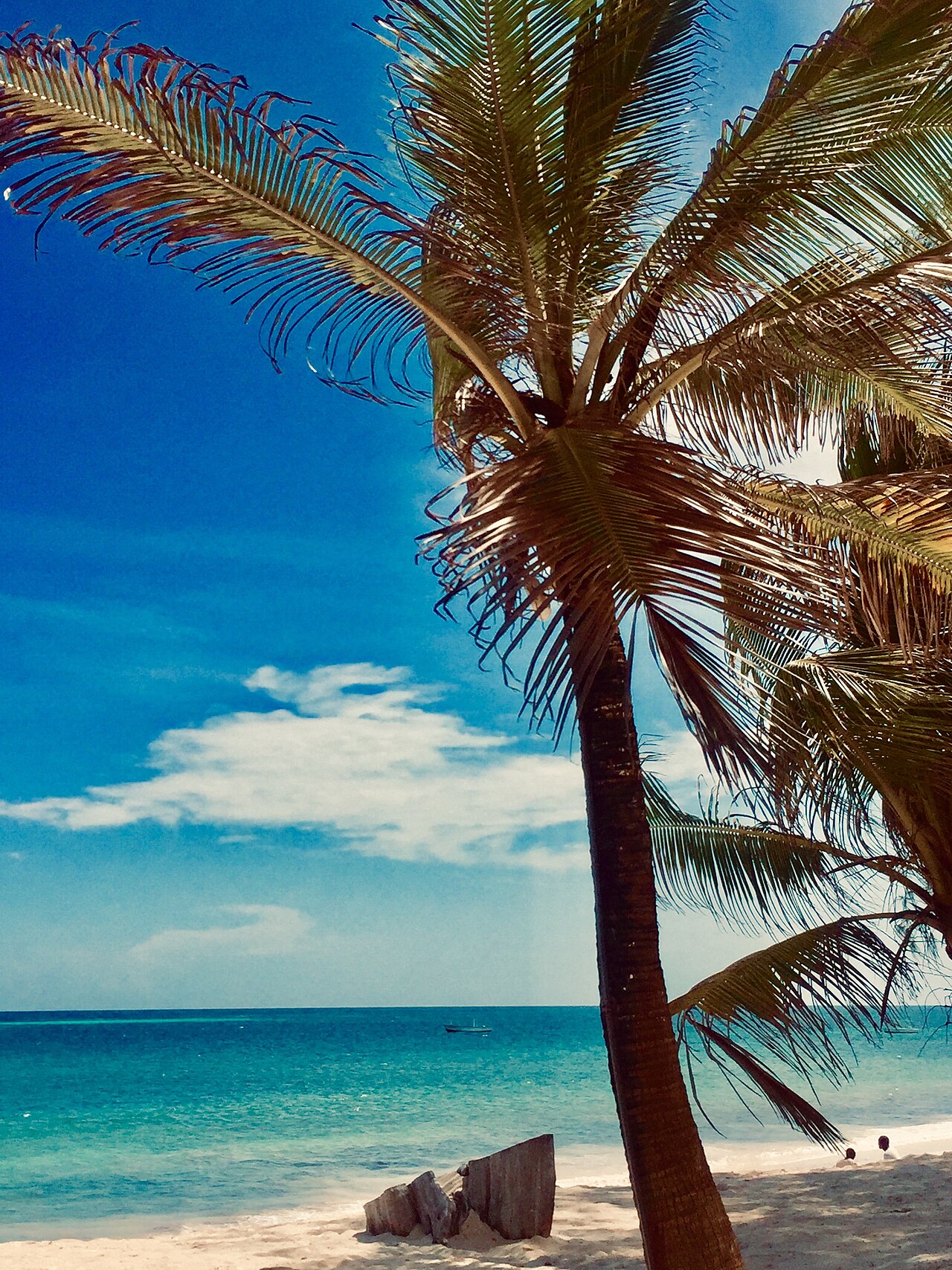 Colourful market street with palm trees in Malindi, Kenya